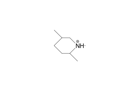 1,cis-2,cis-5-Trimethyl-piperidinium cation