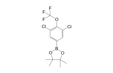 2-(3,5-dichloro-4-(trifluoromethoxy)phenyl)-4,4,5,5-tetramethyl-1,3,2-dioxaborolane
