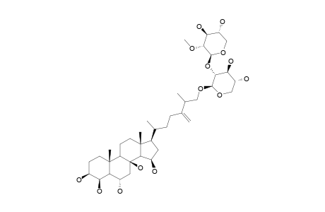 ACODONTASTEROSIDE-G