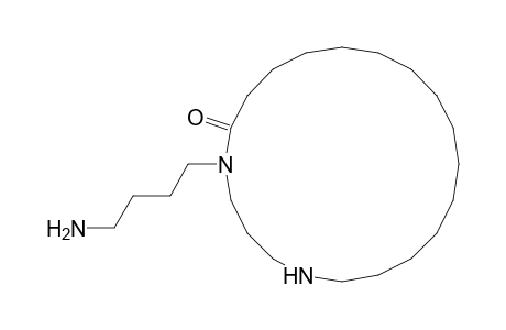 1,5-Diazacycloeicosan-6-one, 5-(4-aminobutyl)-