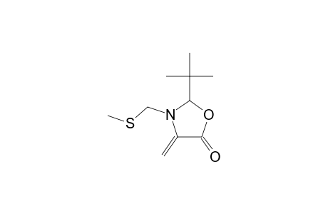 2-tert-Butyl-4-methylene-3-[(methylsulfanyl)methyl]-1,3-oxazolidin-5-one
