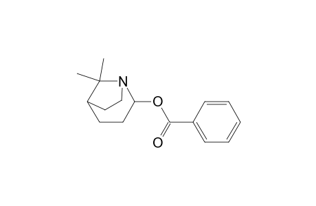 exo-2-(benzoyloxy)-8,8-dimethyl-1-azabicyclo[3.2.1]octane