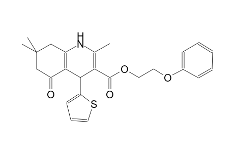 2-phenoxyethyl 2,7,7-trimethyl-5-oxo-4-(2-thienyl)-1,4,5,6,7,8-hexahydro-3-quinolinecarboxylate
