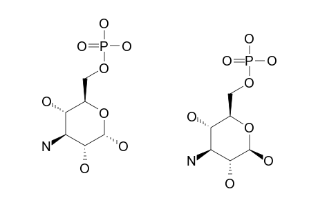 3-AMINO-3-DEOXY-D-GLUOCOSE-6-PHOSPHATE
