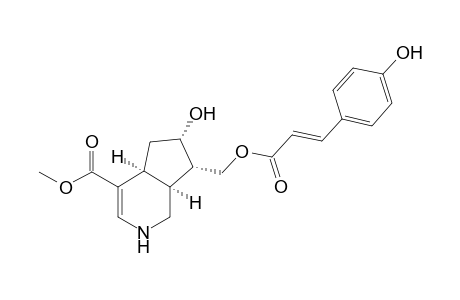 (E)-10-[(4'-Hydroxycinnamoyl)oxy]-tetrahydrocantleyne