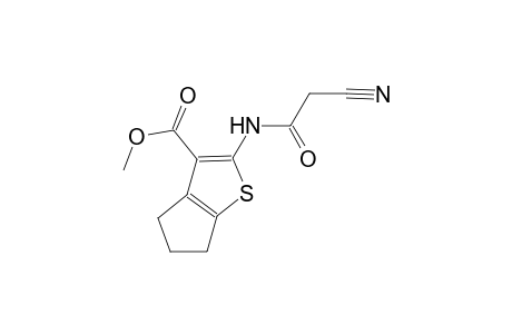 methyl 2-[(cyanoacetyl)amino]-5,6-dihydro-4H-cyclopenta[b]thiophene-3-carboxylate