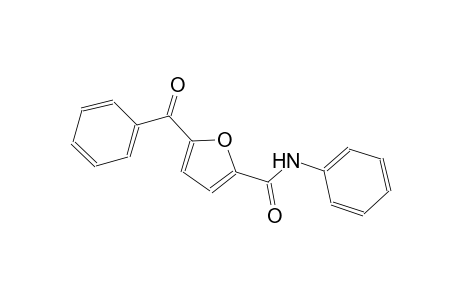 5-benzoyl-N-phenyl-2-furamide