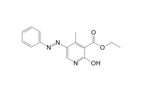 Ethyl 2-hydroxy-4-methyl-5-[(E)-phenyldiazenyl]nicotinate