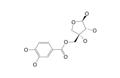 5'-O-3,4-DIHYDROXYBENZOYL-BETA-D-APIOFURANOSIDE