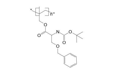 Poly(tert-butoxyseryl methallyl ester)