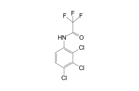 N-trifluoroacetyl 2,3,4-dichloroaniline