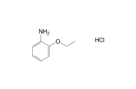 o-phenetidine, hydrochloride