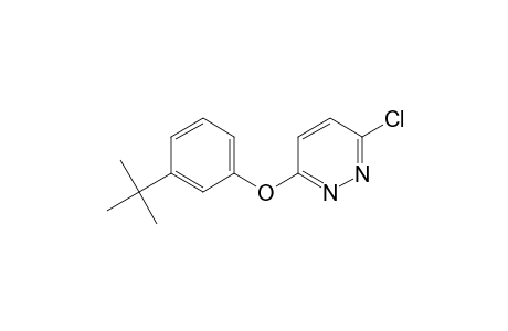 3-(3-tert-butylphenoxy)-6-chloropyridazine