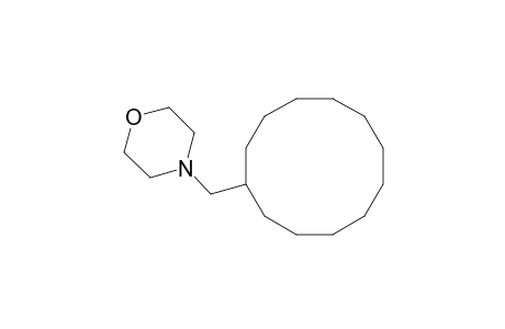 Morpholine, 4-(cyclododecylmethyl)-
