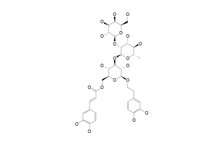 #3;ALMIUSIDE-C;2-(3,4-DIHYDROXYPHENYL)-ETHYL-O-BETA-D-GALACTOPYRANOSYL-(1->2)-ALPHA-L-RHAMNOPYRANOSYL-(1->3)-(6-O-TRANS-CAFFEOYL)-BETA-D-GLUCOPYRANOSIDE