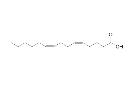 (5Z,9Z)-14-METHYL-5,9-PENTADECADIENOIC-ACID