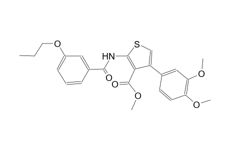 methyl 4-(3,4-dimethoxyphenyl)-2-[(3-propoxybenzoyl)amino]-3-thiophenecarboxylate