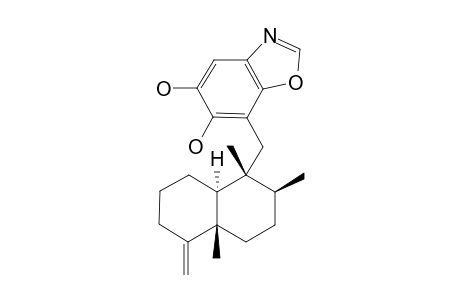 NAKIJINOL_B