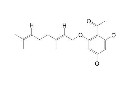 2-(1'-GERANOYLOXY)-4,6-DIHYDROXYACETOPHENONE