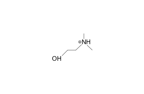 2-Dimethylammonio-ethanol cation