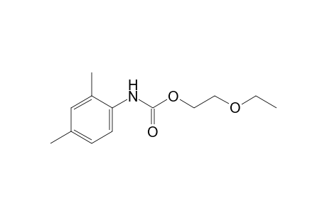2,4-dimethylcarbanilic acid, 2-ethoxyethyl ester
