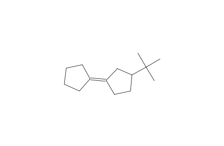 Cyclopentane, 1-cyclopentylidene-3-(1,1-dimethylethyl)-