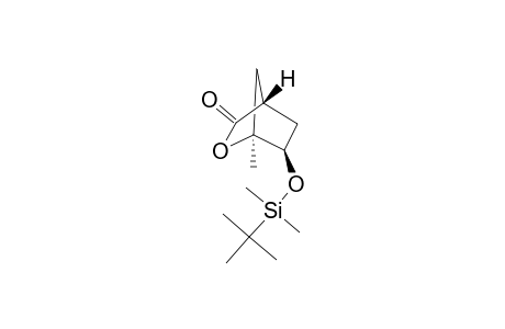 (1S,4S,6R)-6-endo-(tert-Butyldimethylsilyloxy)-1-methyl-2-oxabicyclo[2.2.1]heptan-3-one