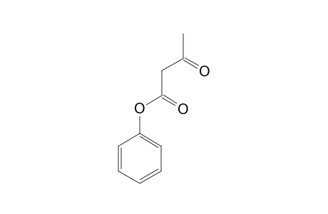 PHENYL-3-OXO-BUTANOATE