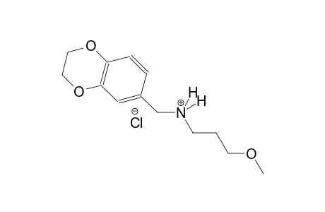 1,4-benzodioxin-6-methanaminium, 2,3-dihydro-N-(3-methoxypropyl)-, chloride