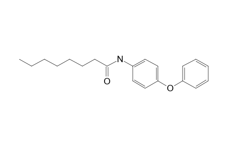 Octanamide, N-(4-phenoxyphenyl)-