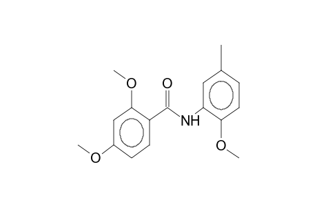N-(2-methoxy-5-methylphenyl)-2,4-dimethoxybenzamide