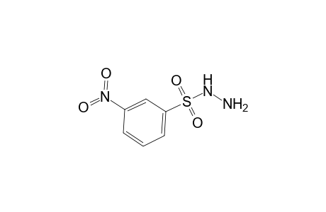 Benzenesulfonic acid, 3-nitro-, hydrazide