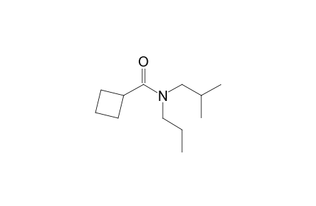 Cyclobutanecarboxamide, N-propyl-N-isobutyl-