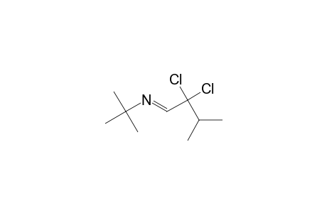 2-Propanamine, N-(2,2-dichloro-3-methylbutylidene)-2-methyl-