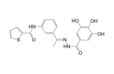 N-{3-[(1E)-N-(3,4,5-trihydroxybenzoyl)ethanehydrazonoyl]phenyl}-2-thiophenecarboxamide