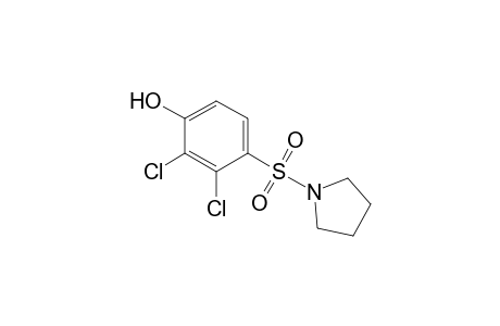 Phenol, 2,3-dichloro-4-(1-pyrrolidinylsulfonyl)-