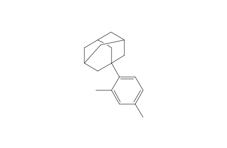1-(m-Xylyl)-adamantane