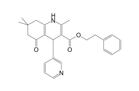 2-phenylethyl 2,7,7-trimethyl-5-oxo-4-(3-pyridinyl)-1,4,5,6,7,8-hexahydro-3-quinolinecarboxylate