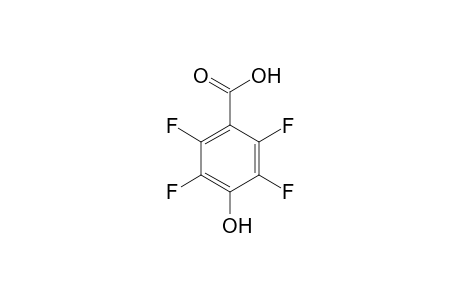 2,3,5,6-Tetrafluoro-4-hydroxybenzoic acid