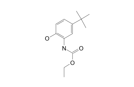 2-Amino-4-tert-butylphenol, N-ethoxycarbonyl-