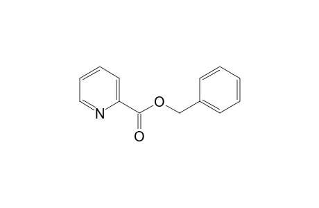 picolinic acid, benzyl ester