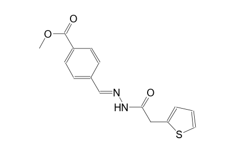 methyl 4-{(E)-[(2-thienylacetyl)hydrazono]methyl}benzoate