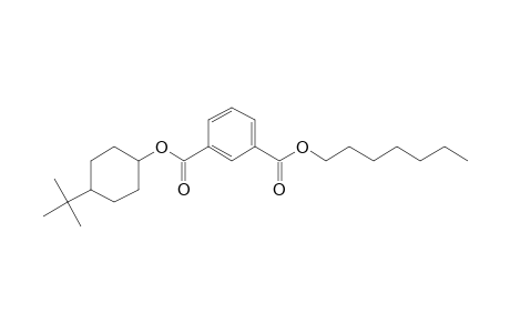 Isophthalic acid, heptyl 4-tert-butylcyclohexyl ester