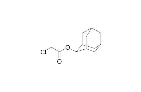 Chloroacetic acid, 2-adamantyl ester