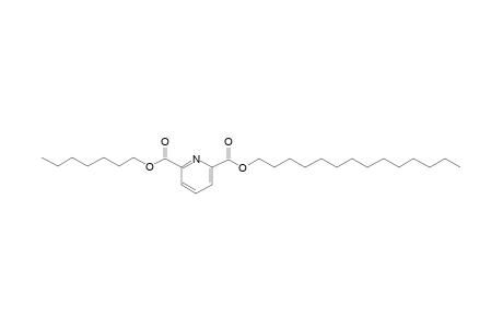 2,6-Pyridinedicarboxylic acid, heptyl tetradecyl ester