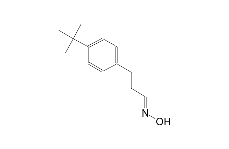 (1E)-3-(4-tert-butylphenyl)propanal oxime