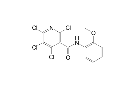 2,4,5,6-Tetrachloro-N-(2-methoxy-phenyl)-nicotinamide