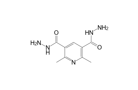 2,6-Dimethyl-pyridine-3,5-dicarboxylic acid, dihydrazide