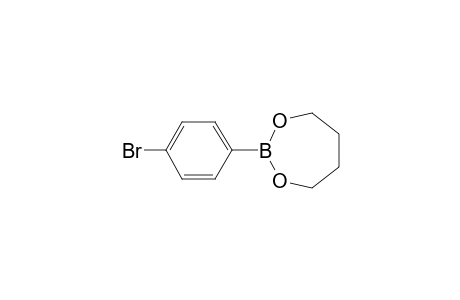 1,3,2-Dioxaborepane, 2-(4-bromophenyl)-