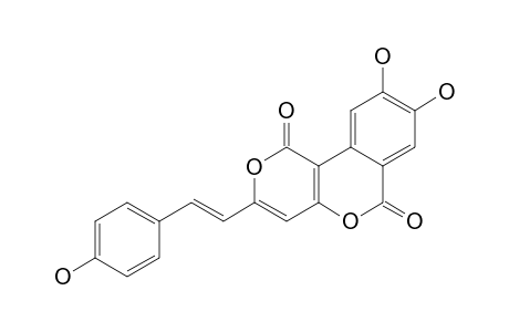 PHELLIGRIDIN_C;3-(4-HYDROXYSTYRYL)-8,9-DIHYDROPYRANO-[4.3-C]-ISOCHROMENE-4-ONE